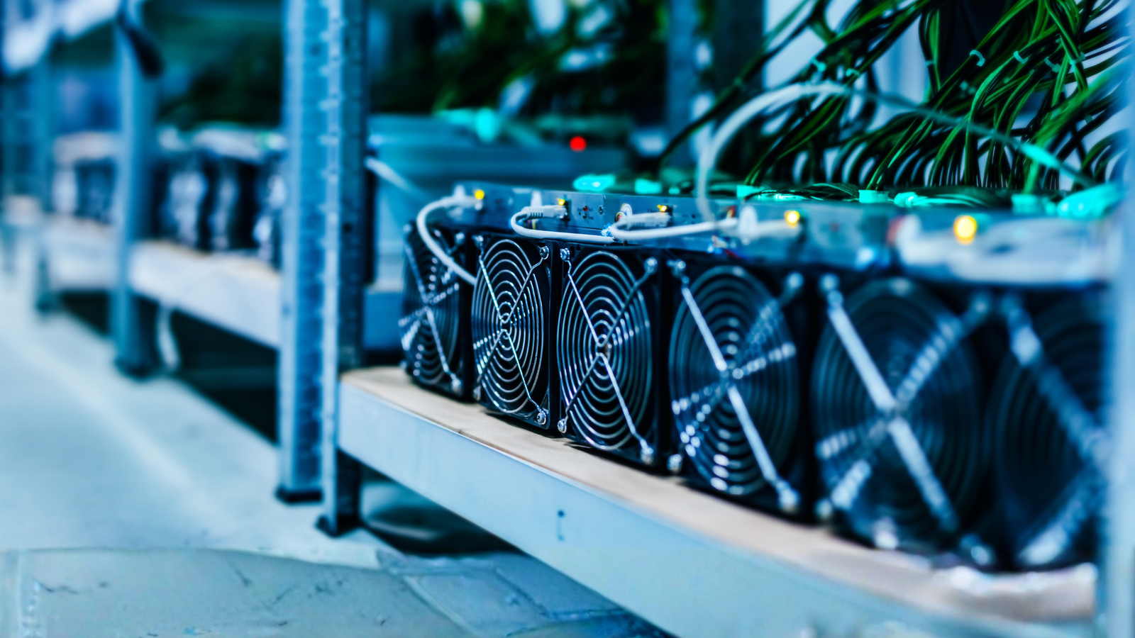 Crypto & Data Centers